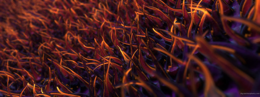 436653 (a): :3200x1200